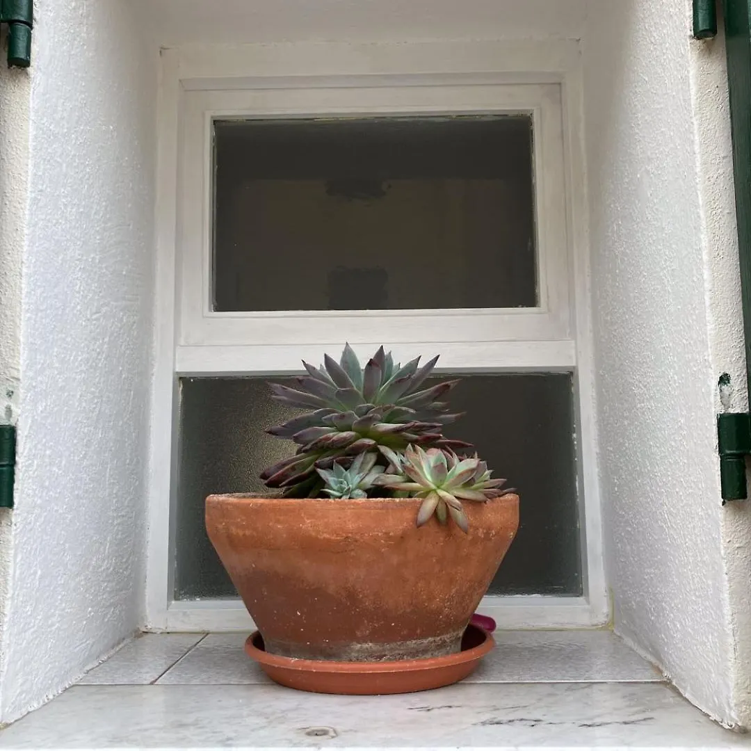 Casa Ami Apartment Bordighera 0*,  Italy